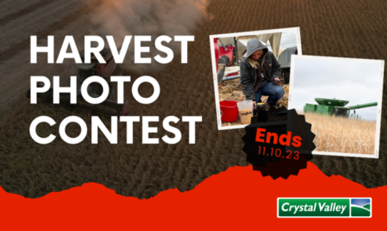 Fall Contest 2023 1